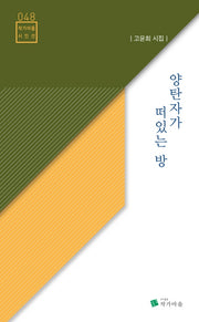 양탄자가 떠있는 방(작가마을 시인선 48)