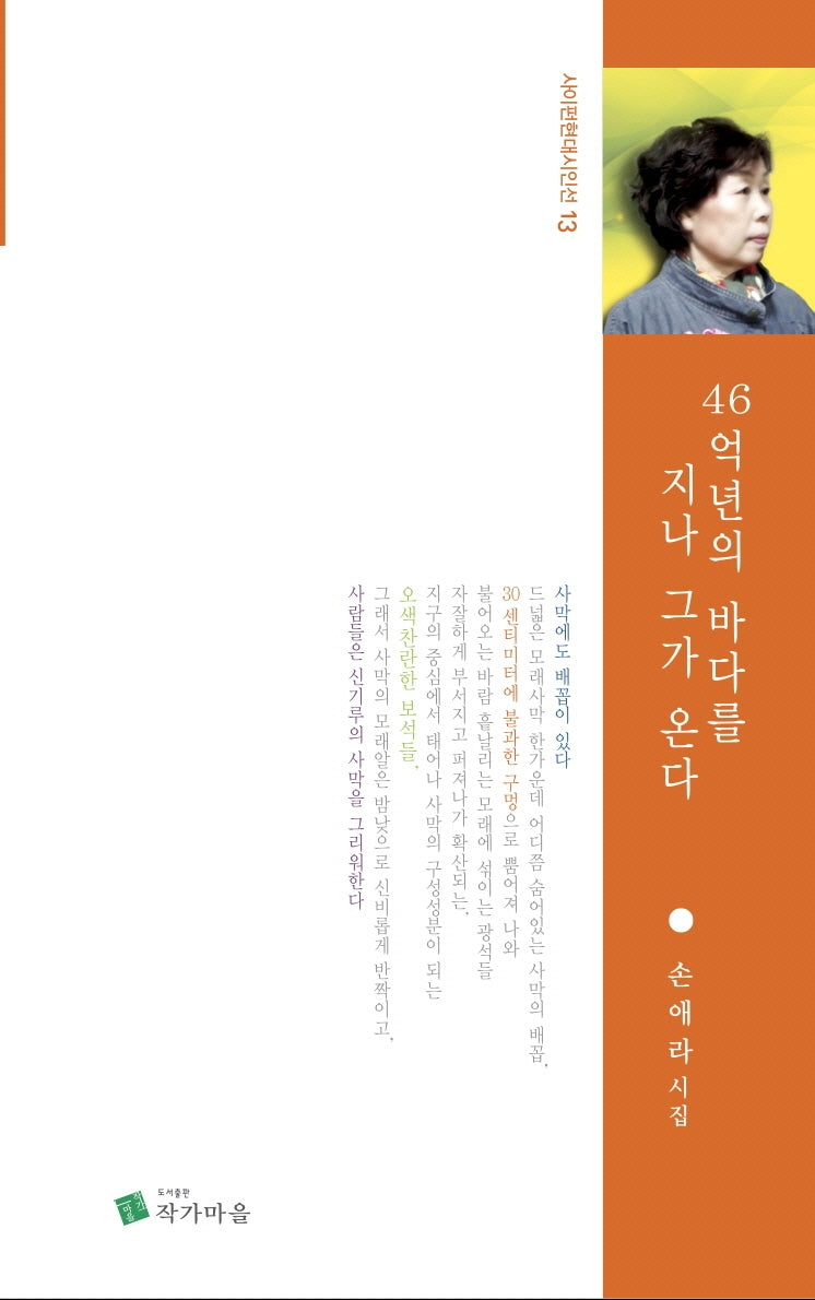 46억년의 바다를 지나 그가 온다(사이펀 현대시인선 13)