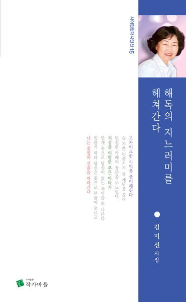 해독의 지느러미를 헤쳐간다(사이펀현대시인선 15)