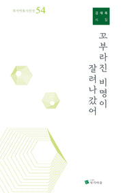꼬부라진 비명이 잘려나갔어(작가마을시인선 54)