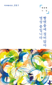 빨랫줄에 걸터앉아 명상 중입니다(작가마을시인선 61)