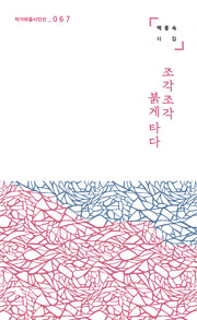 조각조각 붉게 타다(작가마을시인선 67)