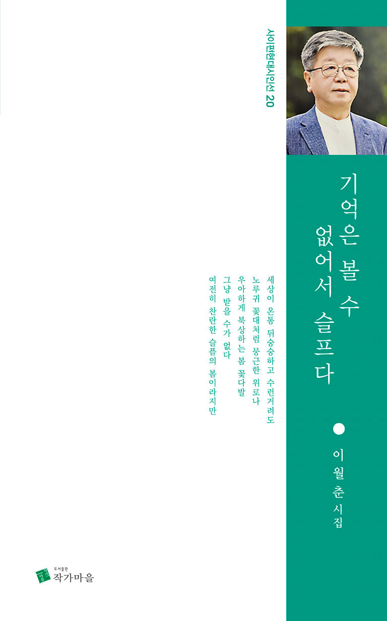 기억은 볼 수 없어서 슬프다(사이펀현대시인선 20)