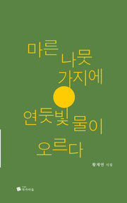 마른 나뭇가지에 연둣빛 물이 오르다