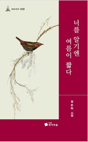 너를 알기엔 여름이 짧다(사임당시인선 029)