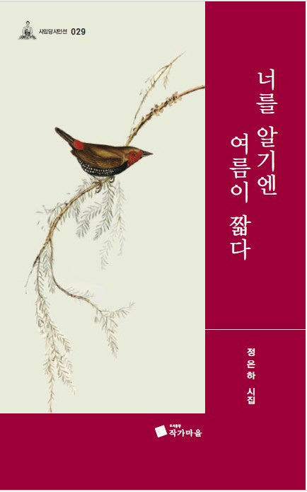 너를 알기엔 여름이 짧다(사임당시인선 029)