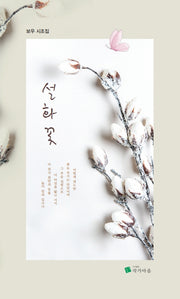 설화꽃