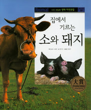소와 돼지(집에서 기르는)(사진 세밀화 생태 자연관찰 10)