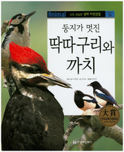 딱따구리와 까치(둥지가 멋진)(사진 세밀화 생태 자연관찰 21)