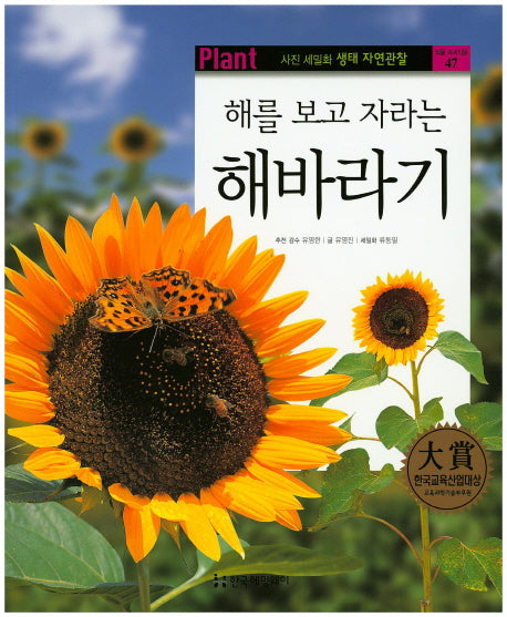 해바라기(해를 보고 자라는)(사진 세밀화 생태 자연관찰 47)
