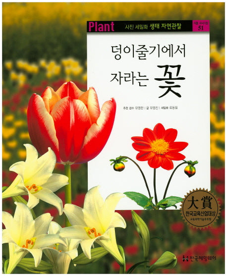 꽃(덩이줄기에서 자라는)(사진 세밀화 생태 자연관찰 51)
