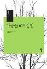 대승불교의 실천(대승불교 시리즈 3)(양장본 Hardcover)