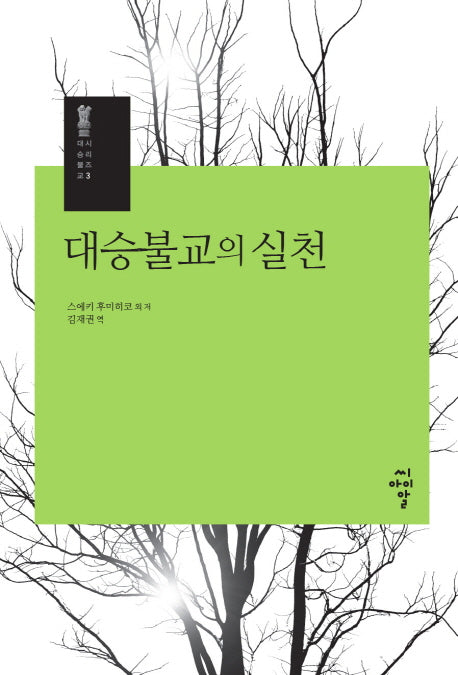대승불교의 실천(대승불교 시리즈 3)(양장본 Hardcover)