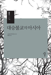 대승불교의 아시아(대승불교 시리즈 10)(양장본 Hardcover)