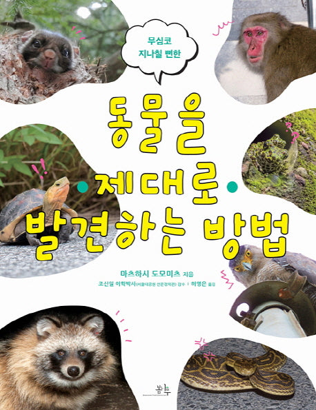 동물을 제대로 발견하는 방법(무심코 지나칠 뻔한)
