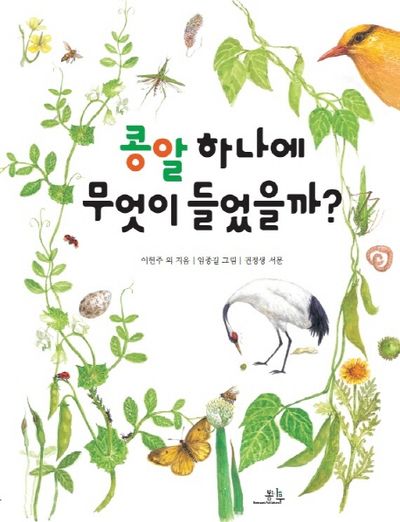콩알 하나에 무엇이 들었을까?(양장본 Hardcover)