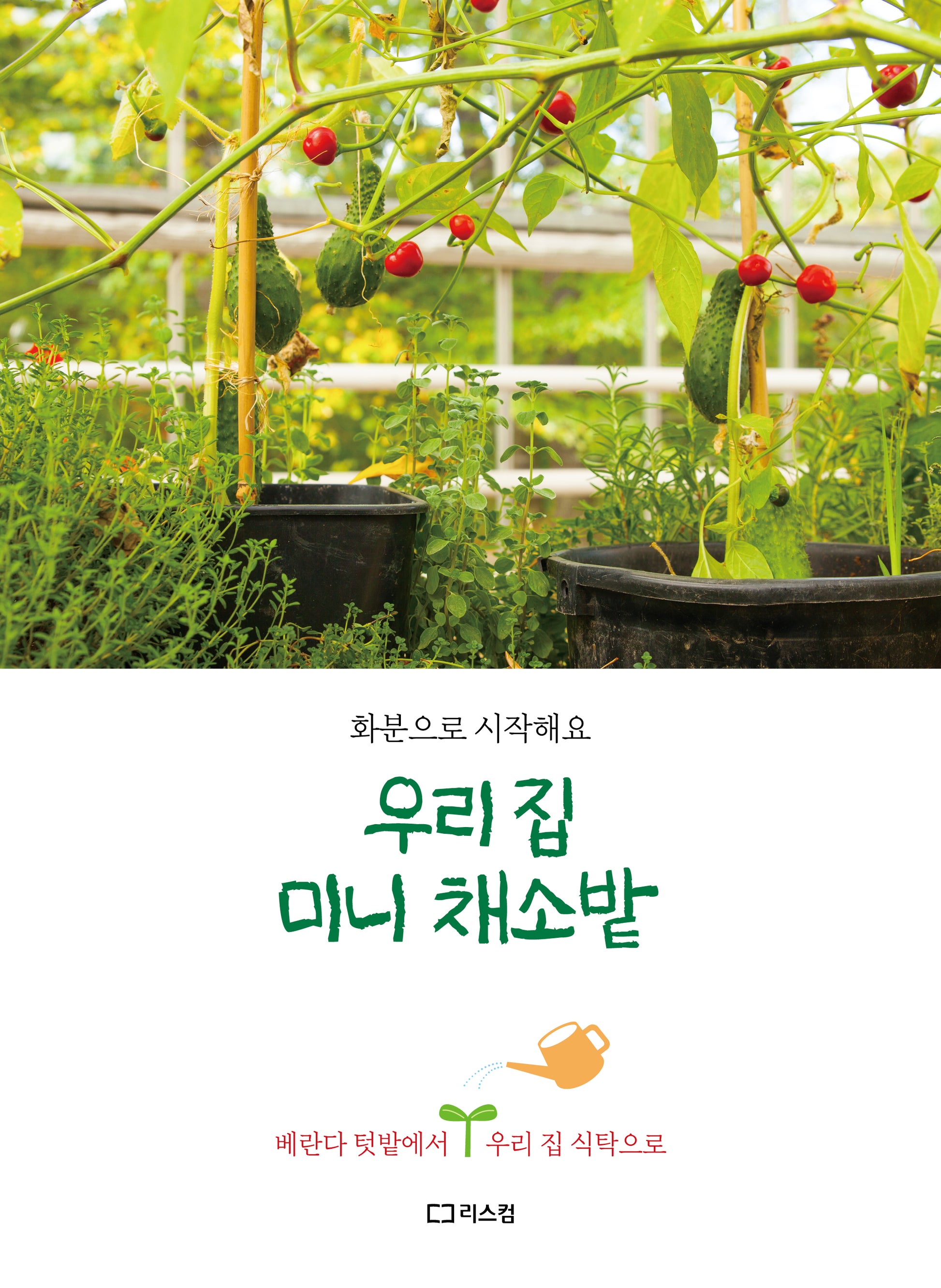우리 집 미니 채소밭