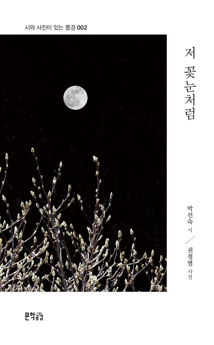 저 꽃눈처럼(시와 사진이 있는 풍경 2)