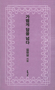 가볍게 담을 넘다(문학나무시선 15)