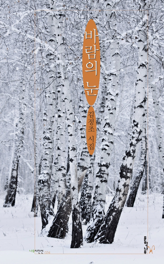 바람의 눈(나무시인선 24)