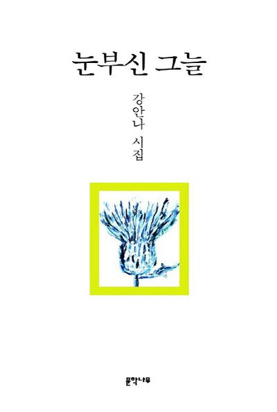 눈부신 그늘
