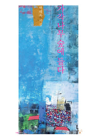 자작나무 숲에 들다(나무시인선 26)