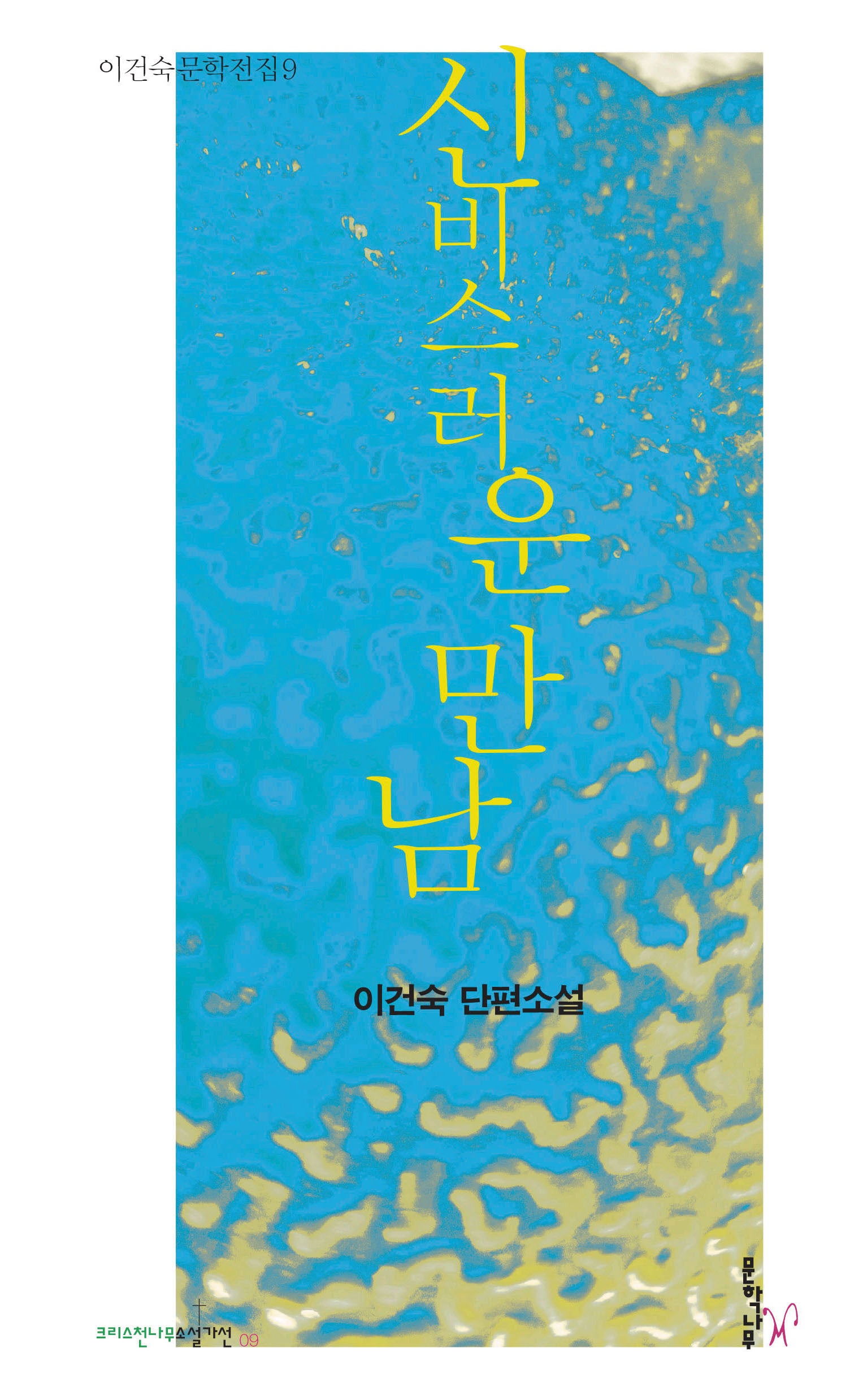 신비스러운 만남(이건숙 문학전집 9)