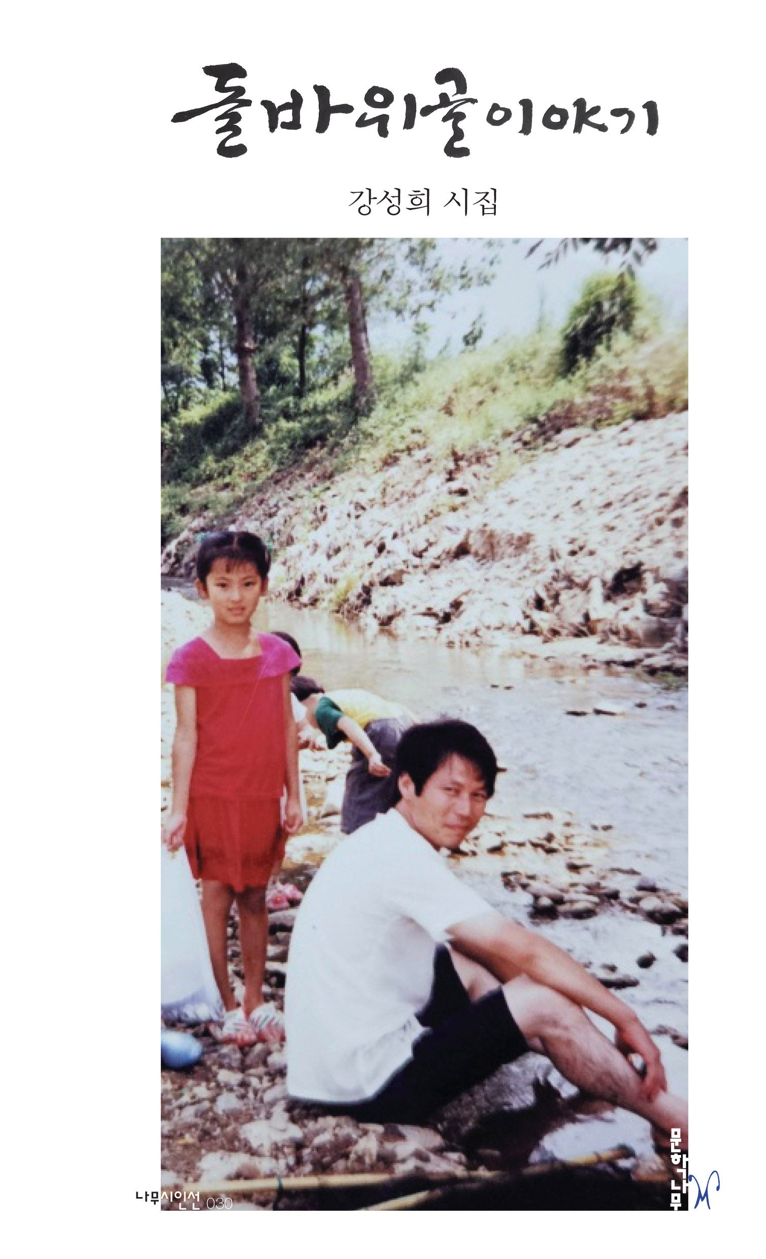 돌바위골 이야기(나무시인선 30)