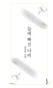 늪에 빠진 나비(나무시인선 32)