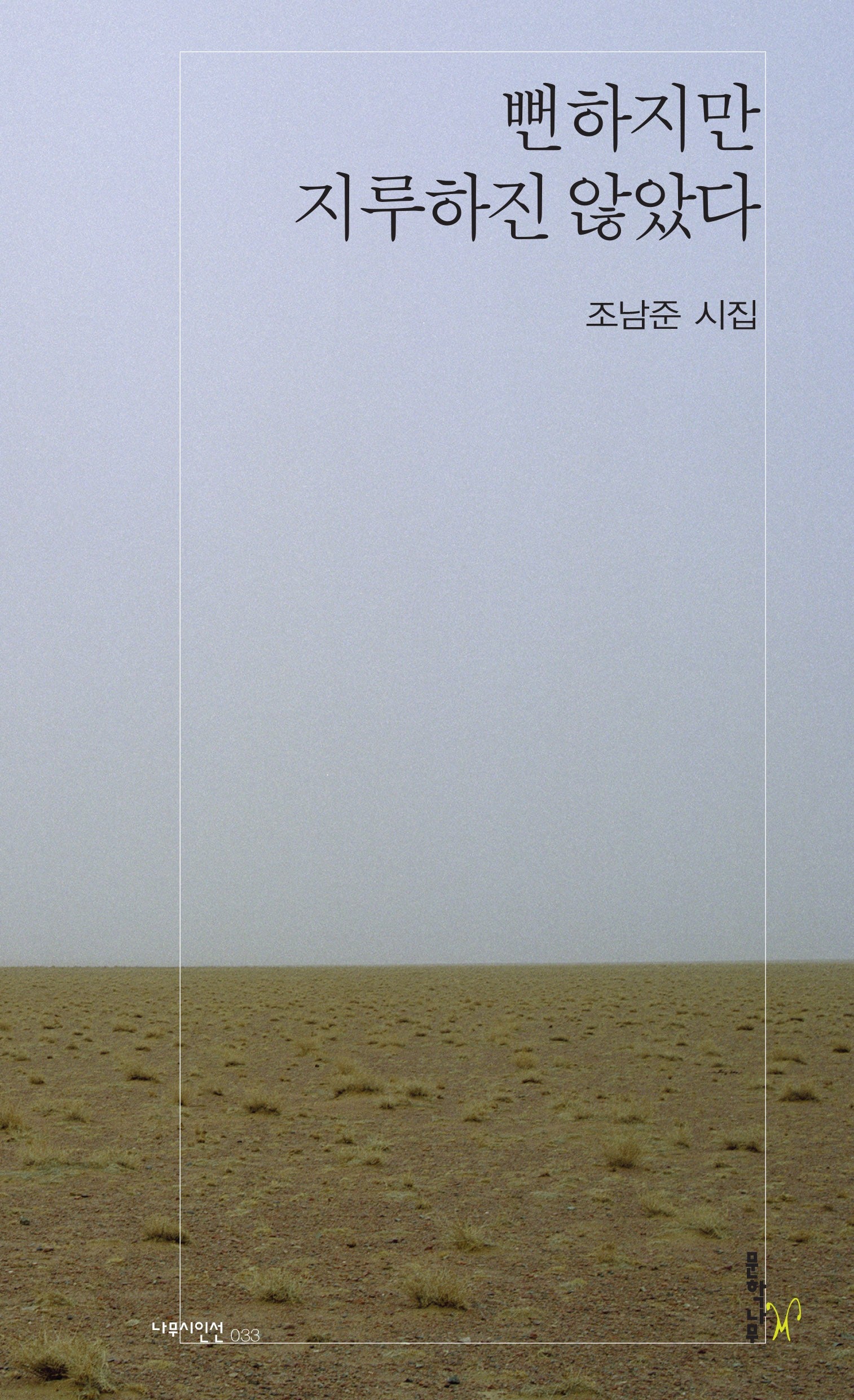뻔하지만 지루하진 않았다(나무시인선 33)
