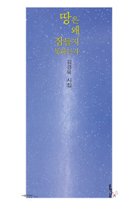 땅은 왜 잠들지 못하는가(나무시인선 34)