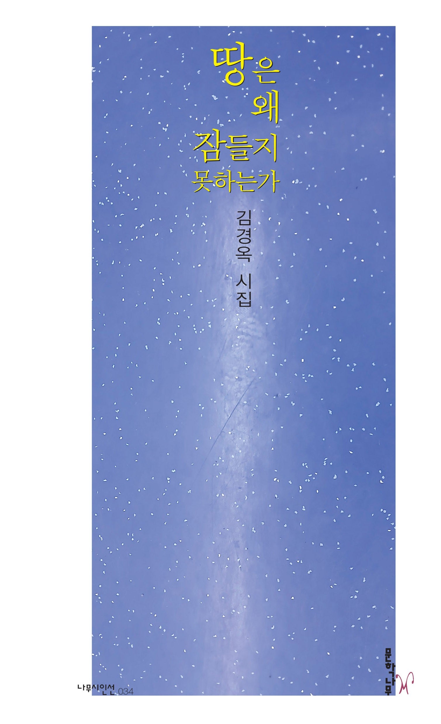땅은 왜 잠들지 못하는가(나무시인선 34)