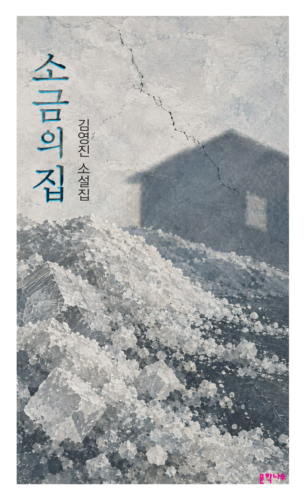 소금의 집