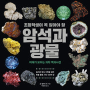 초등학생이 꼭 알아야 할 암석과 광물(미래가 보이는 과학 백과사전 3)