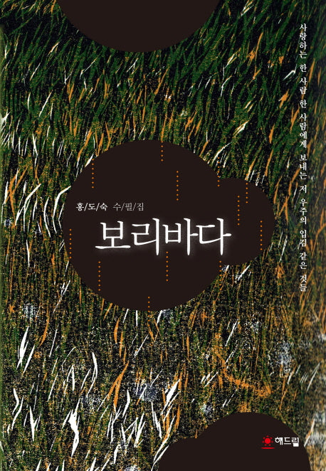 보리바다