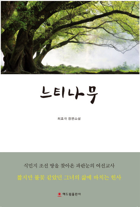 느티나무