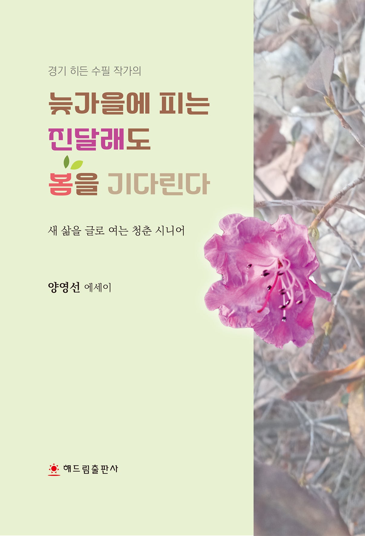 늦가을에 피는 진달래도 봄을 기다린다(경기 히든 수필 작가의)