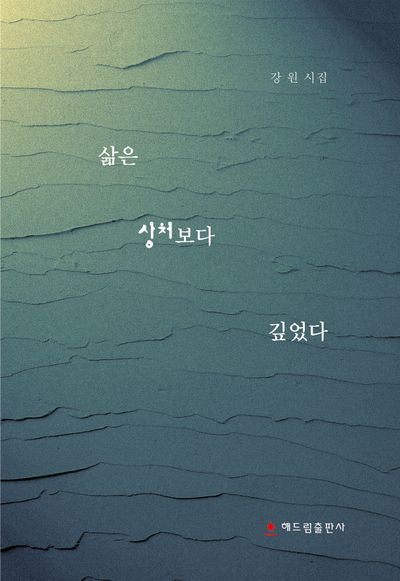 삶은 상처보다 깊었다