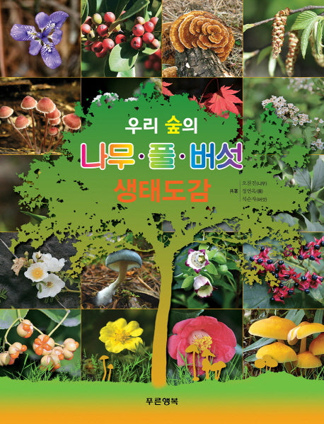 우리 숲의 나무, 풀, 버섯 생태도감