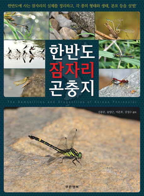 한반도 잠자리 곤충지(양장본 Hardcover)