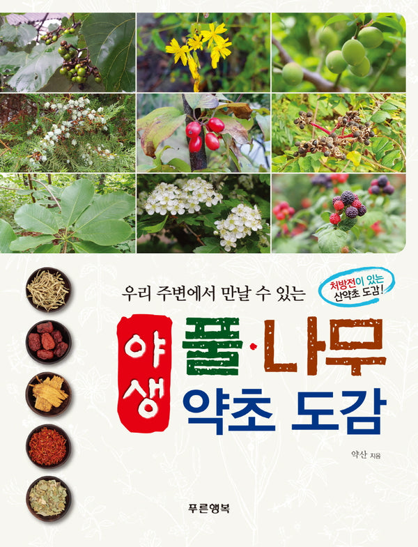 야생 풀 나무 약초 도감(우리 주변에서 만날 수 있는)