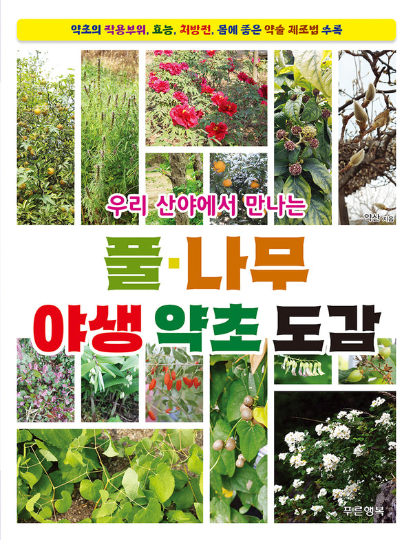 우리 산야에서 만나는 풀·나무 야생 약초 도감
