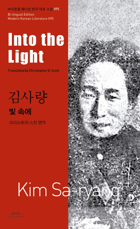 빛 속에(Into the Light)(바이링궐 에디션 한국 대표 소설 95)