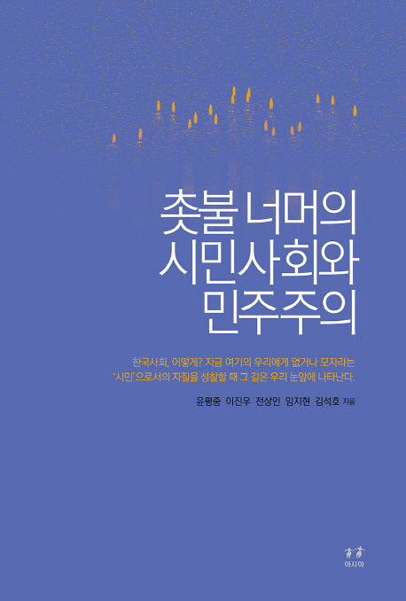 촛불 너머의 시민사회와 민주주의(박태준미래전략연구총서 9)