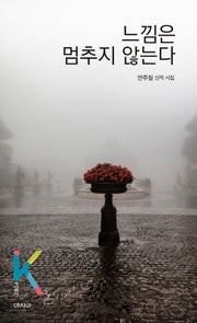 느낌은 멈추지 않는다(K-포엣 시리즈)