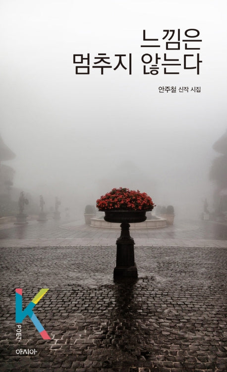 느낌은 멈추지 않는다(K-포엣 시리즈)