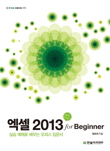 엑셀 2013 for Beginner(IT CookBook 173)