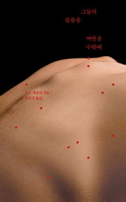 그들의 슬픔을 껴안을 수밖에(양장본 Hardcover)