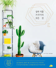 실내 식물 가꾸기의 모든 것