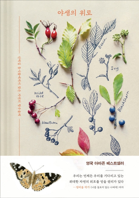 야생의 위로(양장본 Hardcover)